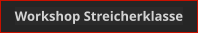 Workshop Streicherklasse