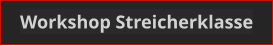 Workshop Streicherklasse