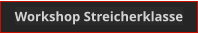 Workshop Streicherklasse